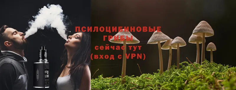 Псилоцибиновые грибы Cubensis  наркошоп  Вольск 